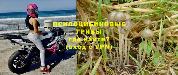 прущая мука Лиски