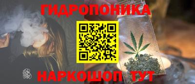spice Кандалакша
