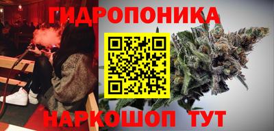 spice Кандалакша