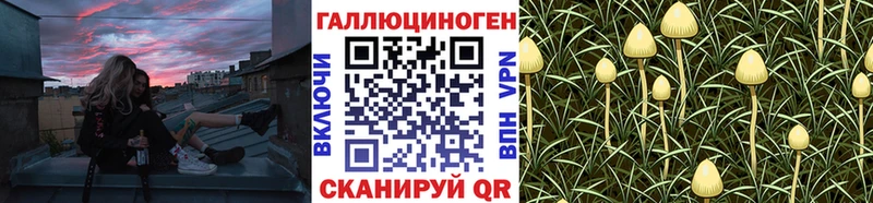 Галлюциногенные грибы Psilocybine cubensis  Строитель 