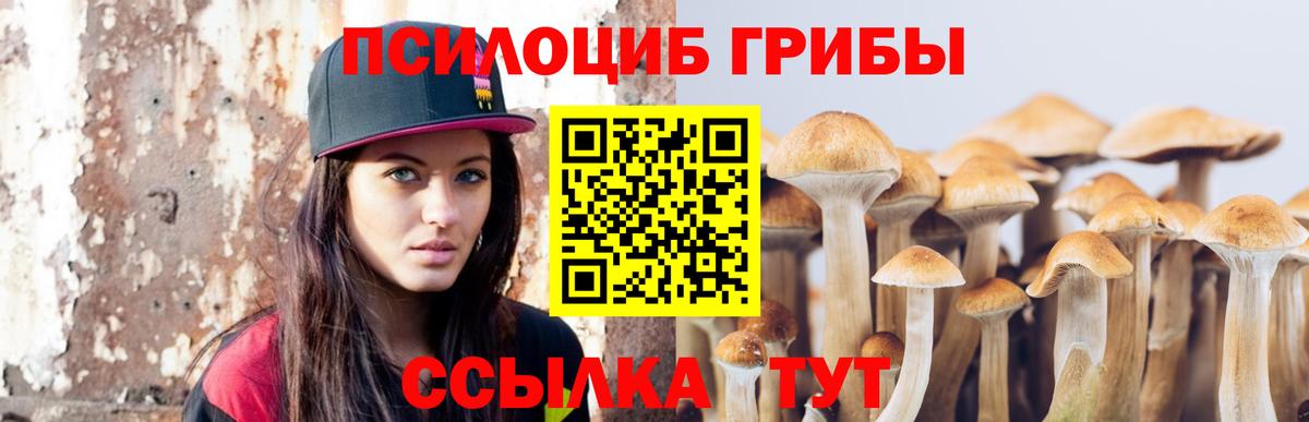 наркошоп  Галлюциногенные грибы Psilocybine cubensis  Вход с VPN  Строитель 
